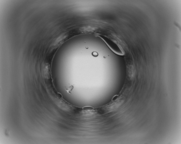 X0000095890378200801111201