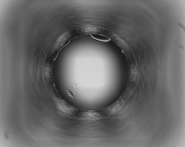 X0000095890379200801111201