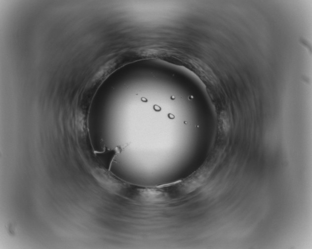 X0000095890380200801111201