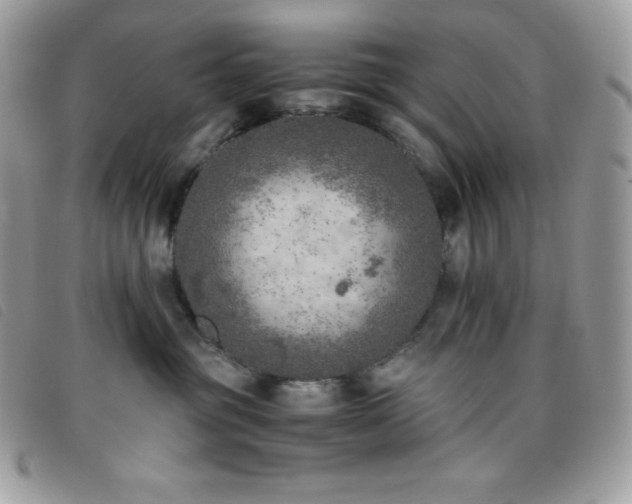 X0000095890381200801111201