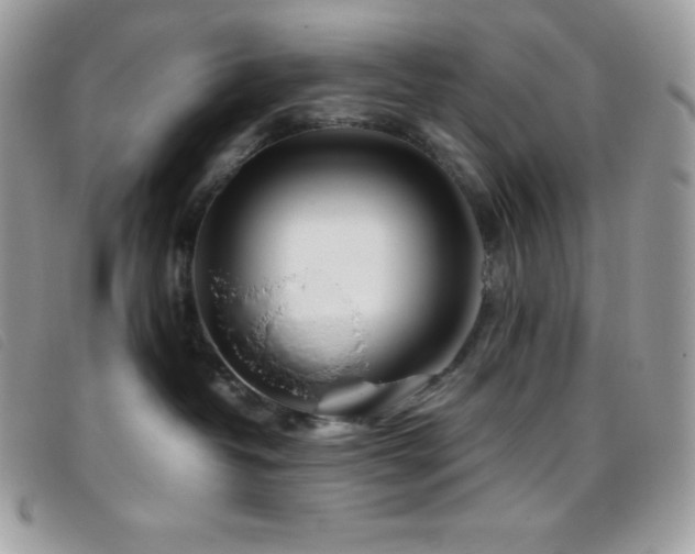 X0000095890382200801111201
