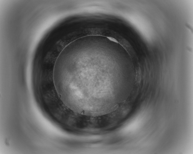 X0000095890383200801111201