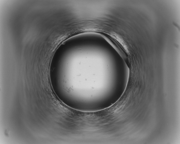 X0000095890385200801111200