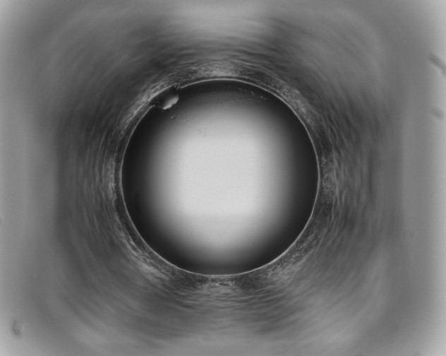 X0000095890386200801111200