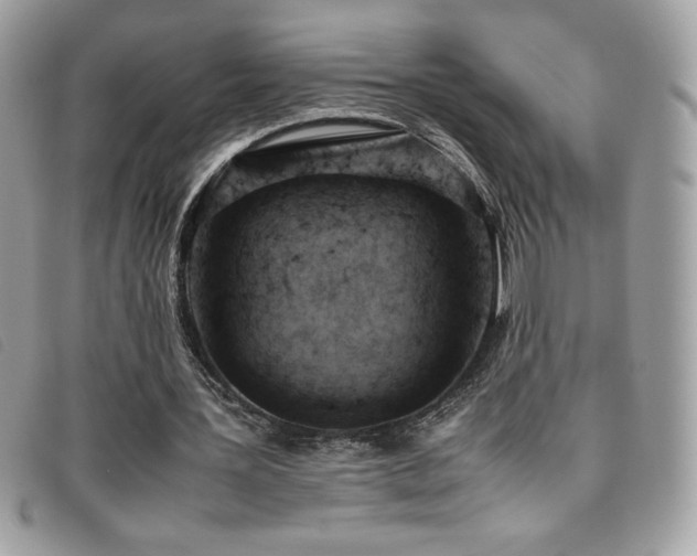X0000095890387200801111200