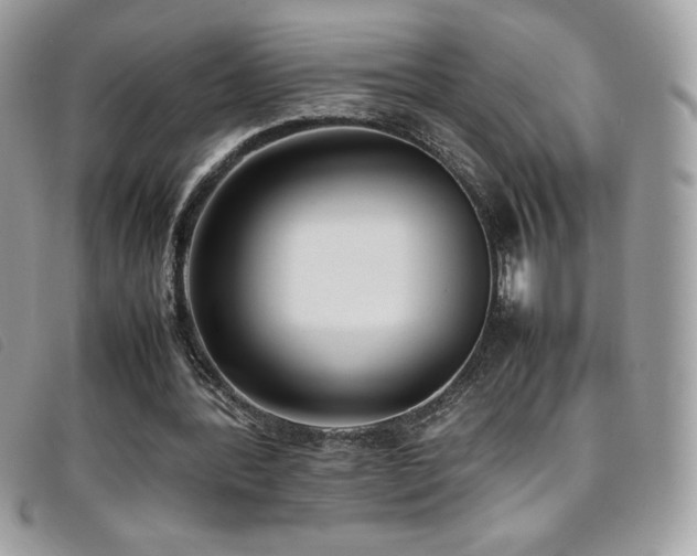 X0000095890388200801111200