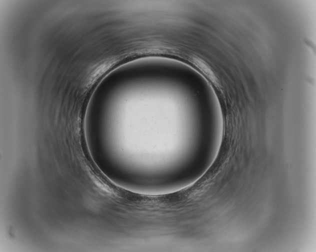 X0000095890389200801111200