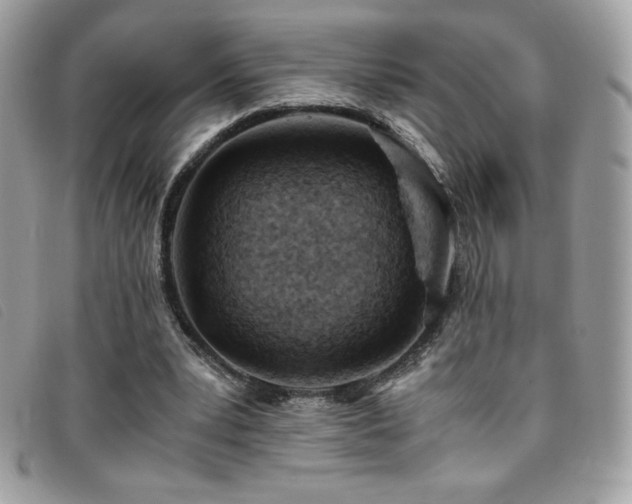 X0000095890391200801111200