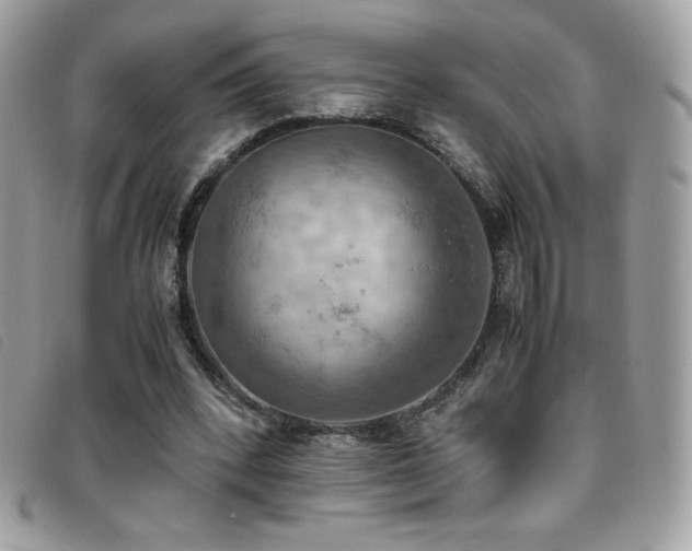 X0000095890392200801111200