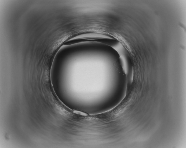 X0000095890393200801111200