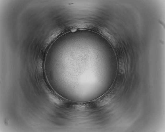 X0000095890394200801111200