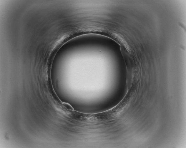 X0000095890395200801111200