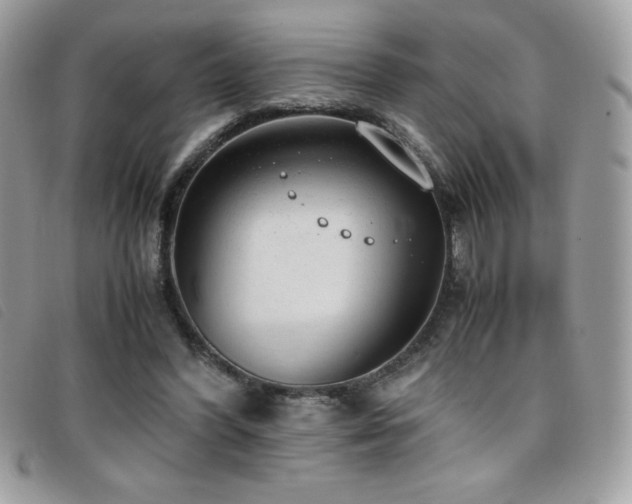 X0000095890396200801111200