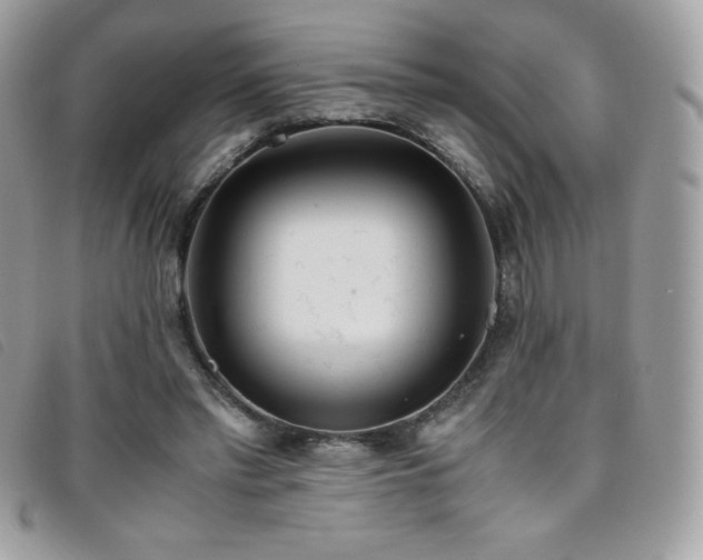 X0000095890397200801111200