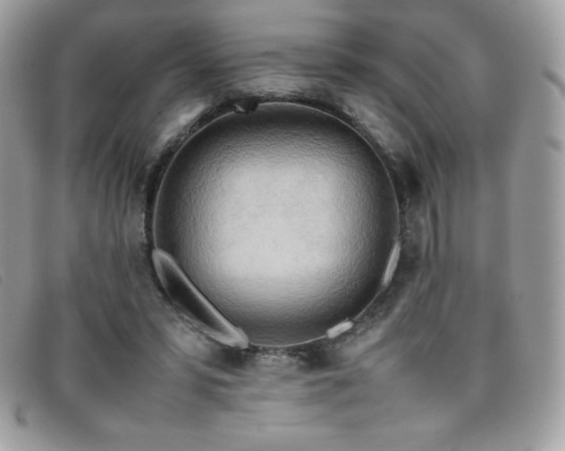 X0000095890399200801111200