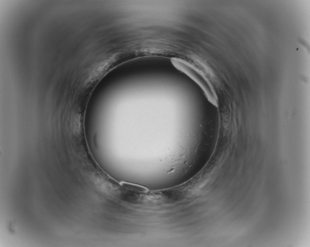 X0000095890401200801111200