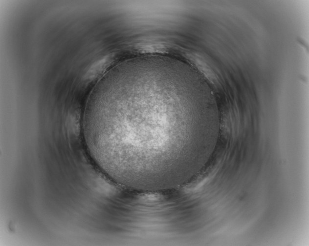 X0000095890402200801111200