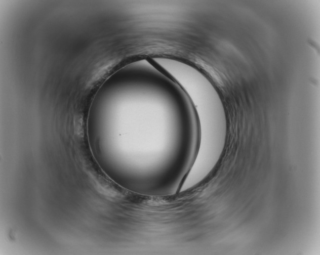 X0000095890403200801111200