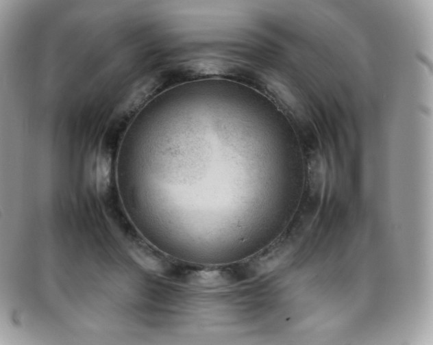 X0000095890406200801111200