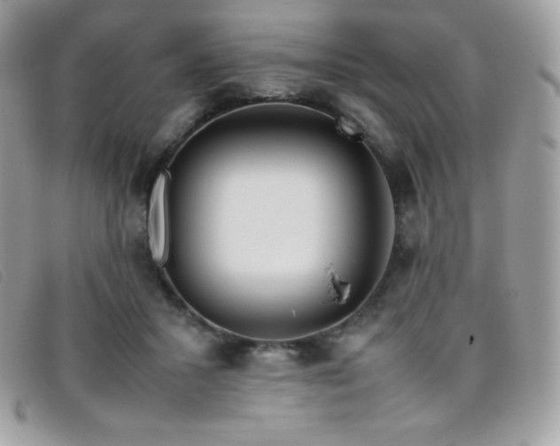 X0000095890407200801111200