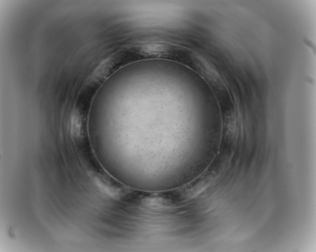 X0000095890408200801111200