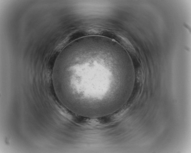 X0000095890409200801111200