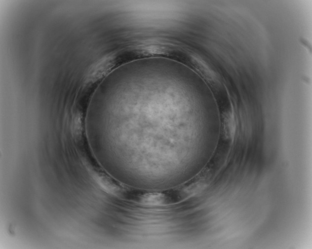 X0000095890410200801111200