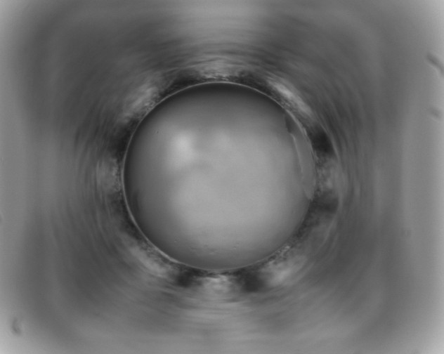 X0000095890411200801111200