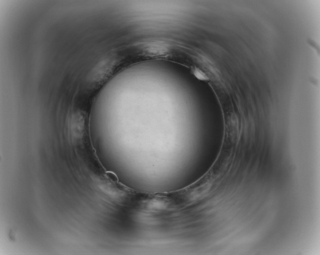 X0000095890412200801111200