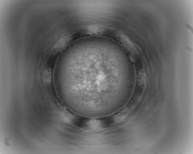 X0000095890413200801111200