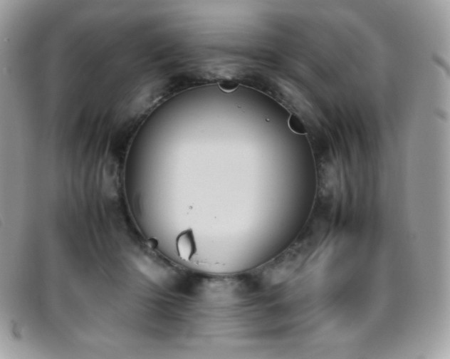 X0000095890414200801111200