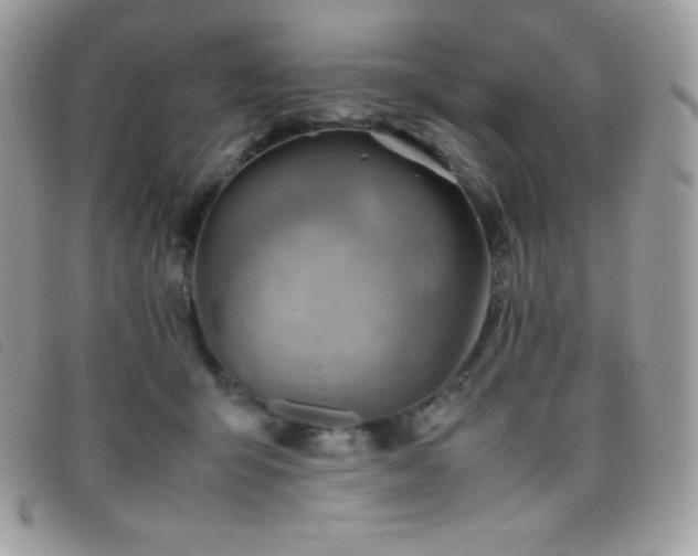 X0000095890415200801111200