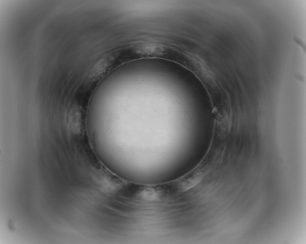 X0000095890416200801111200