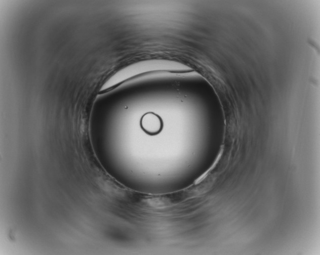 X0000095890417200801111200