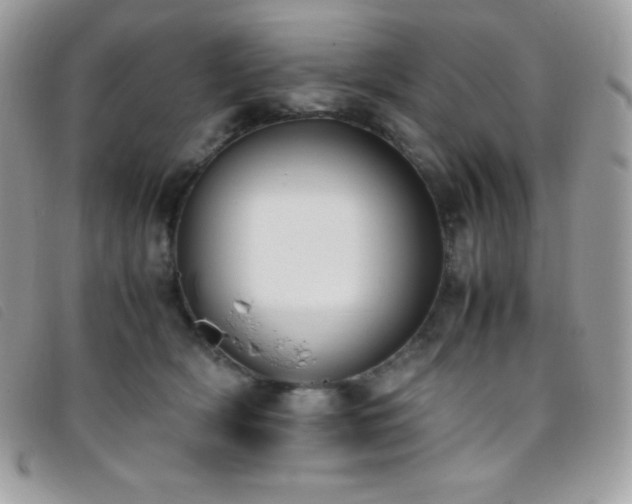 X0000095890418200801111200