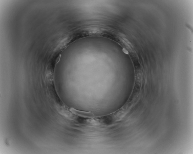 X0000095890419200801111200