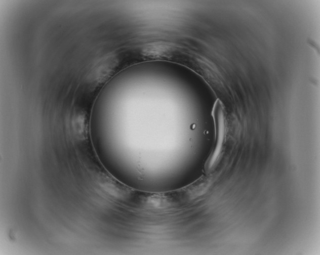 X0000095890420200801111200