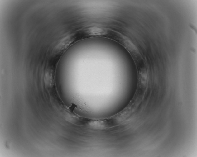 X0000095890422200801111200