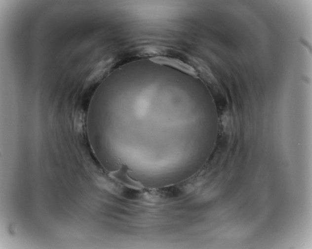 X0000095890423200801111200