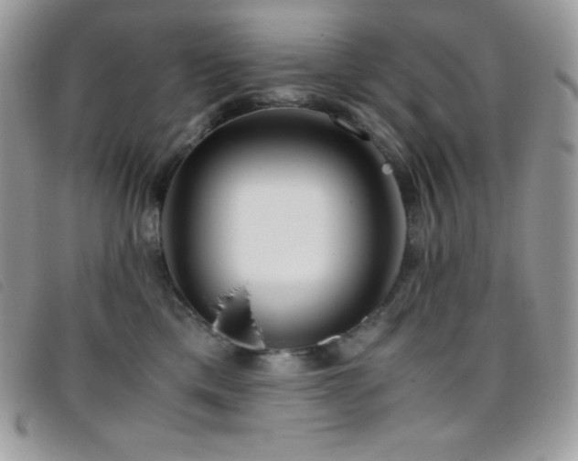 X0000095890425200801111200