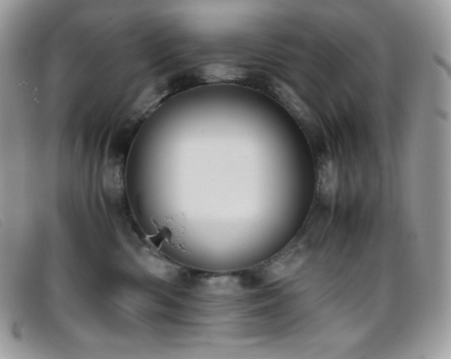 X0000095890426200801111159
