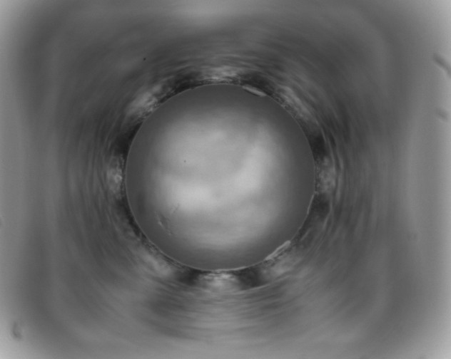 X0000095890427200801111159