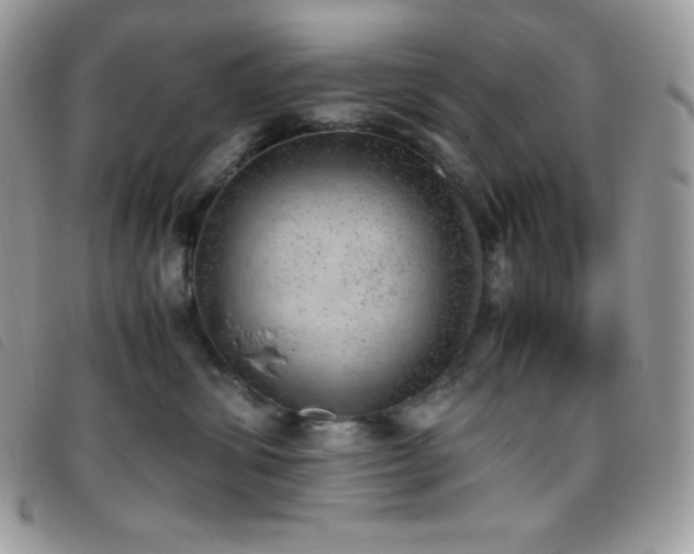 X0000095890428200801111159