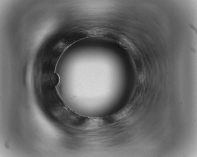 X0000095890429200801111159