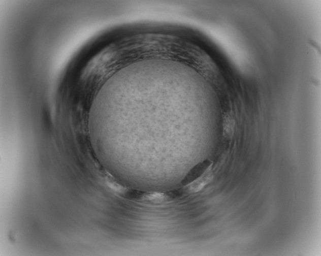 X0000095890431200801111159