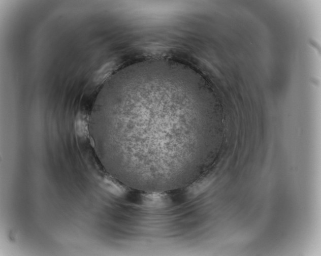 X0000095890432200801111159