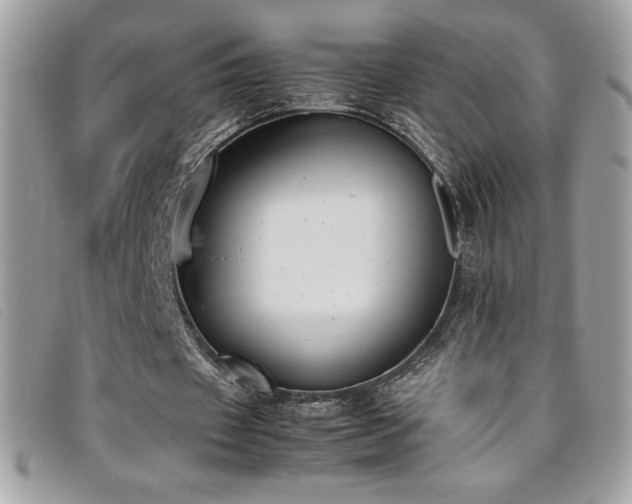 X0000095890433200801111159