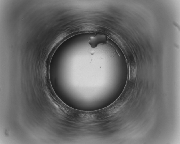 X0000095890435200801111159