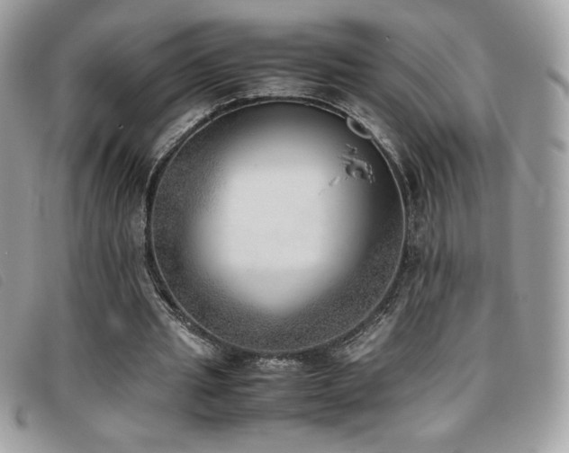 X0000095890437200801111159