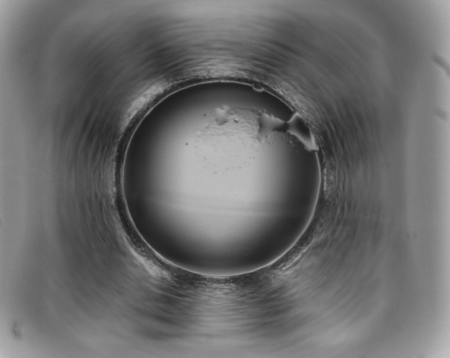 X0000095890438200801111159